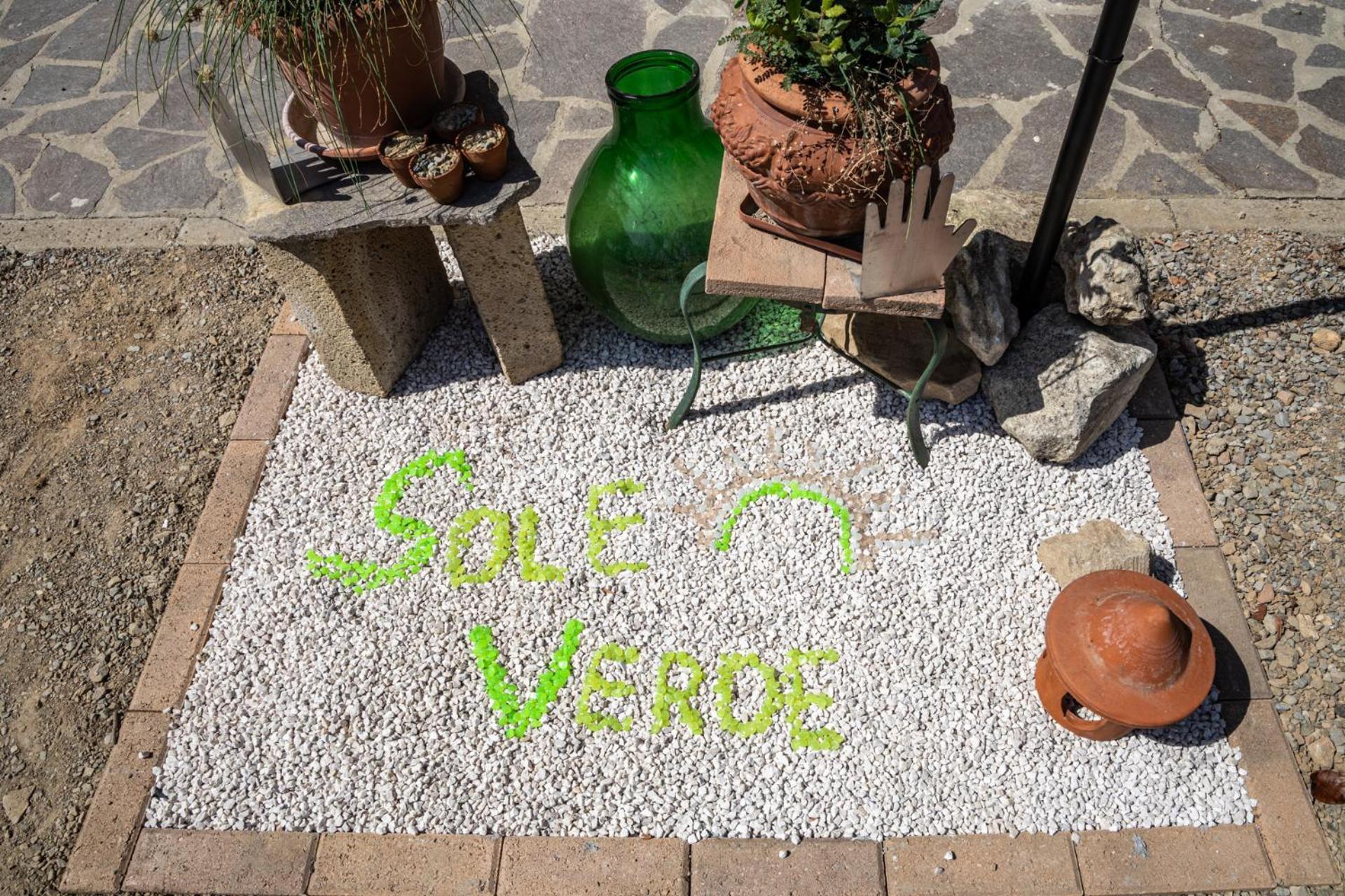 Sole Verde Green House Terricciola Zewnętrze zdjęcie