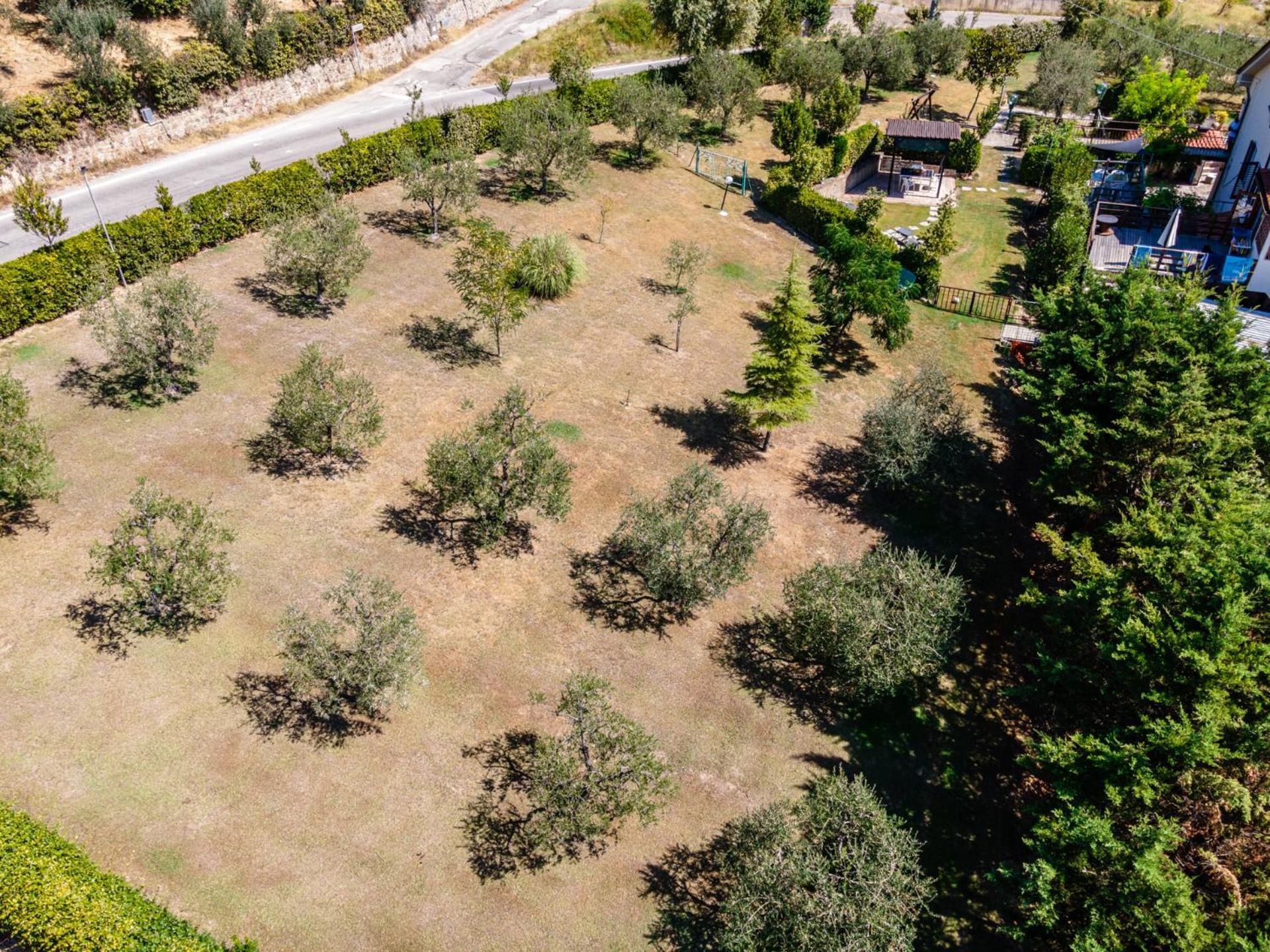 Sole Verde Green House Terricciola Zewnętrze zdjęcie